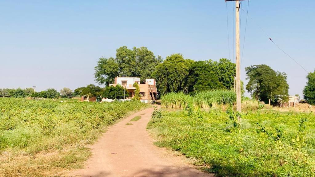 Ananya Farms Paradise Jodhpur  Buitenkant foto