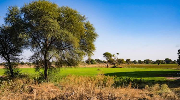 Ananya Farms Paradise Jodhpur  Buitenkant foto