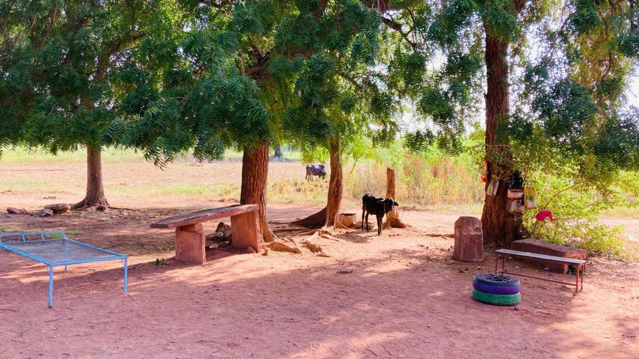 Ananya Farms Paradise Jodhpur  Buitenkant foto