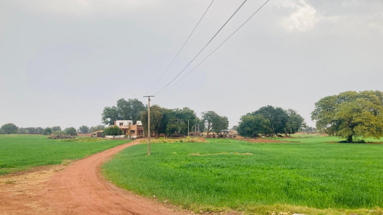 Ananya Farms Paradise Jodhpur  Buitenkant foto
